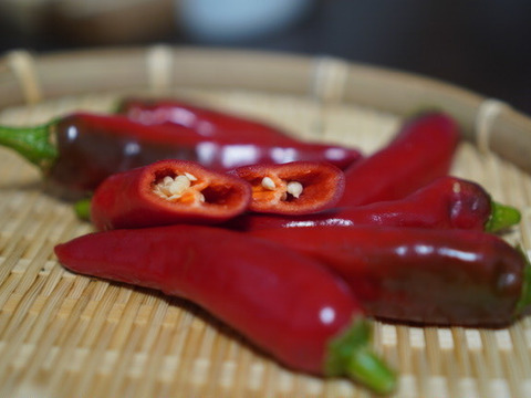 今しかない！　生の韓国唐辛子(200g)　辛味が少なく、甘味・うまみが豊か！　農薬・化学肥料不使用