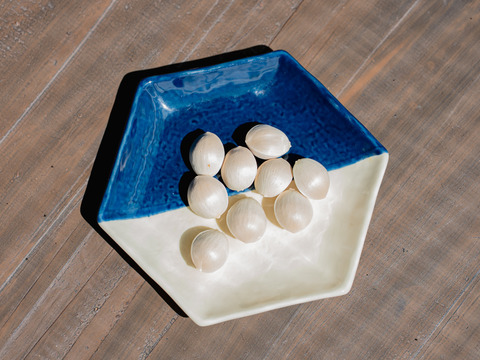 2025年 茨城県産  銀杏：藤九郎　銀杏3L~4L  500g