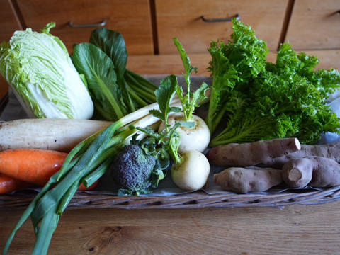 南阿蘇の2月の野菜セット【7品前後】農薬等不使用栽培