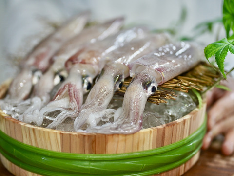 【総注文数1000件突破！】夏のお勧め😆高知の剣先イカ約2kg【手釣り】