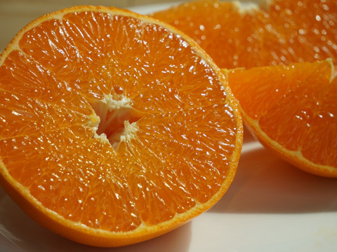 柑橘の大トロ！
「せとか」 4ｋｇ！