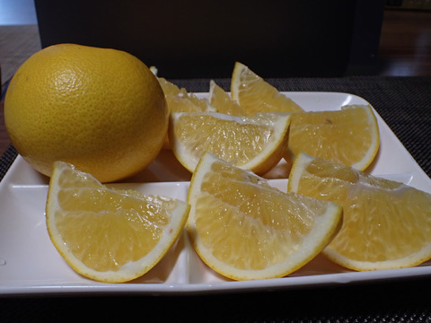 紀の川八朔　優品L〜２L寸↑ 5kg箱込み　ハズレなし！！