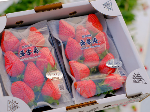 肥料のプロが栽培！バランス重視の設計『ゆうべに』ご家庭用パック 250g×2p