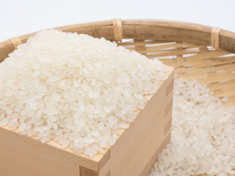 【予約商品】淡路島新たまねぎ「早生種」３kg&「お米　にこまる５キロ」セット