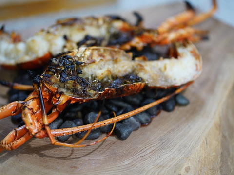【🦞生誕10年物🦞】【ギフト対応】綺麗な高知の海で育った伊勢海老一匹1.1キロ❗️