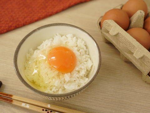 ✨個性がキラリ✨平飼いごちそう卵【あかねの虜】規格外品（40個入） 28歳2児の母がプロデュースする話題の卵【👑大手検索サイト「福岡 卵」表示ランキング１位の農場です👑】