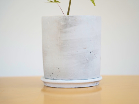 ミニ盆栽【ヤマモミジ×薄グレー陶器】高さ36cm×横12cm