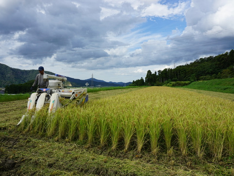自然栽培　ハッピーヒル　１０ｋｇ　農薬不使用「令和６年産」