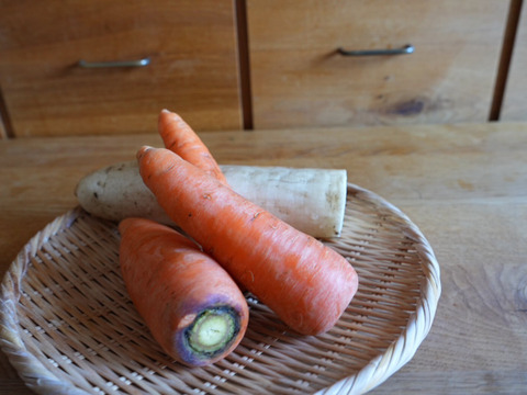 南阿蘇の2月の野菜セット【7品前後】農薬等不使用栽培