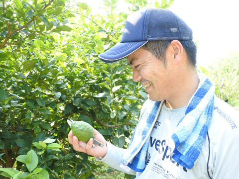 レモネード　900ml　2本入　【母の日ギフト】