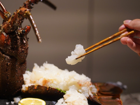 【🦞生誕10年物🦞】【ギフト対応】綺麗な高知の海で育った伊勢海老一匹1.1キロ❗️