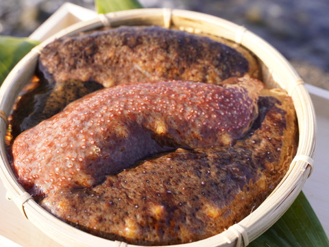 最新最全のをすべて 漁師直送！！赤ナマコ 海鼠（なまこ）1kg（4～7個）【大阪最南端 魚介類(加工食品)