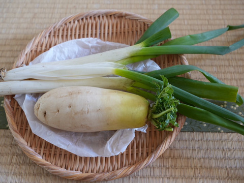 南阿蘇の冬の野菜セット【8品前後】農薬等不使用栽培