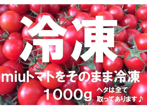 【冷凍1000g】名古屋の有機栽培オーガニックミニトマト【飯田農園】miuトマト冷凍1000g