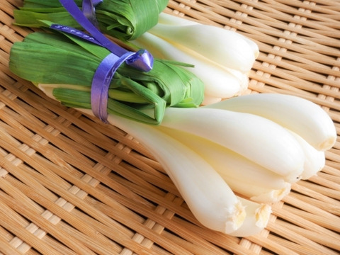 【有馬温泉の麓産】生らっきょう 300g 葉付き 栽培期間中農薬不使用🌱