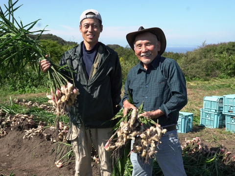 【淡路島が育んだ体と心のスパイス！】愛情込めた自社農園の新生姜 ３㎏