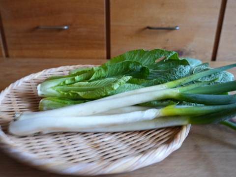 南阿蘇の2月の野菜セット【7品前後】農薬等不使用栽培