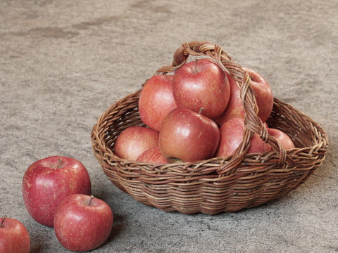 【先行予約】安定の美味しさ！ジューシーな「サンふじ」訳あり３kg（７〜10個）