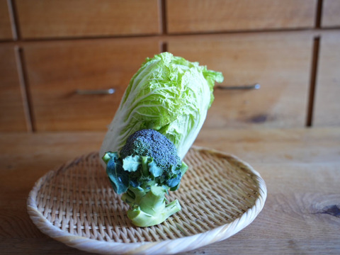 南阿蘇の2月の野菜セット【7品前後】農薬等不使用栽培