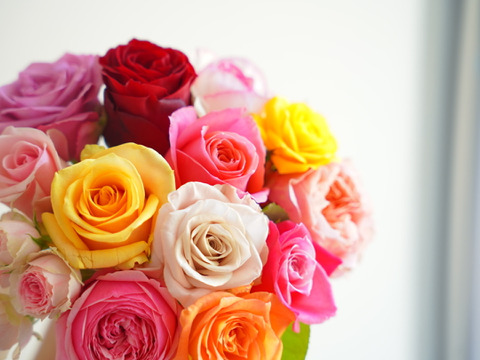 Rose mix S 〜奇日根のおすすめ品種で作るおまかせ花束〜
