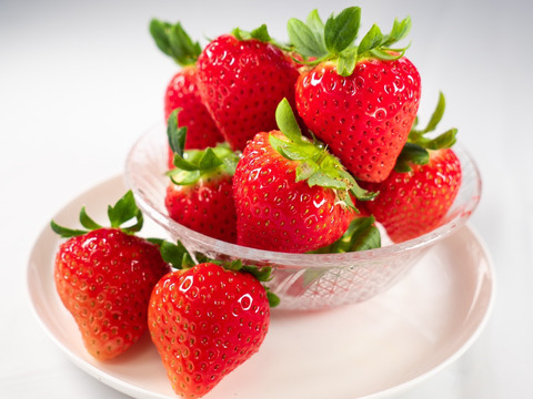 お試し食べ比べ！恋ひめ・恋みのり（300g×2パック）【いちご食べ比べ】