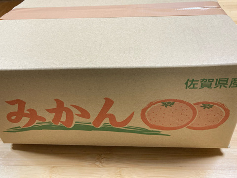 年末用　高糖度登録園みかん　１０ｋg