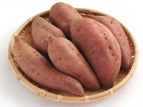 予約販売限定価格！蜜のように甘い【新芋】横浜産 自然栽培 安納芋 5kg（S〜Lサイズ混合）【9.10月配送】