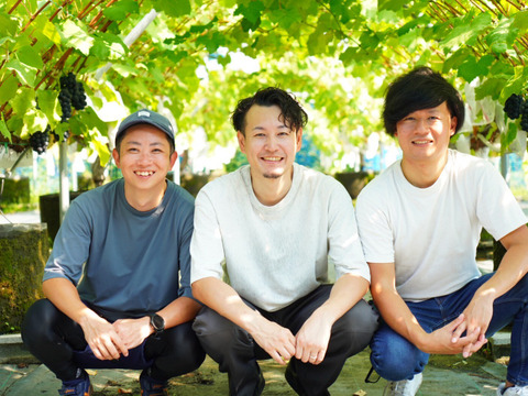 ☆ご家庭用☆　シャインマスカット4㎏【8～16房】