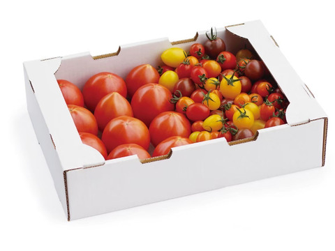 お楽しみ2倍！ひばりトマトとミニトマトのセット２キロ