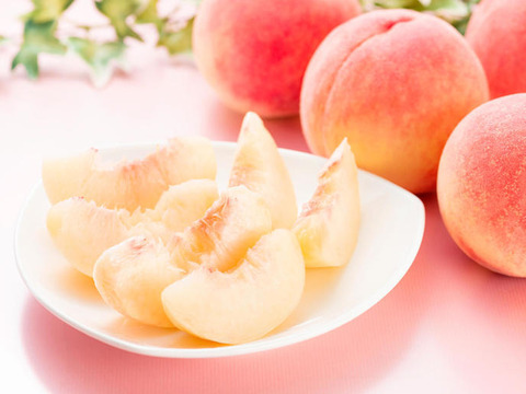 ８月２９日までの販売　「川中島」 １.２ｋｇ（５～６個位）