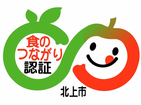 ‼️100g増量中‼️【ほぼLL以上！】殻付ぎんなん無選別パック(400g)