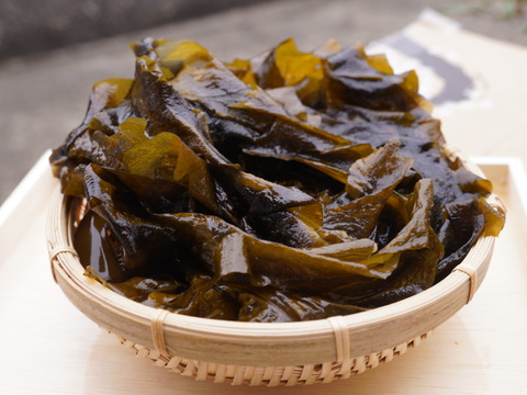 採れたて新鮮！！天然茎付き生わかめ1kg
