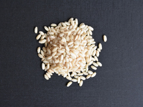 🇮🇹丹波篠山産イタリア米🇮🇹カルナローリ　2kg