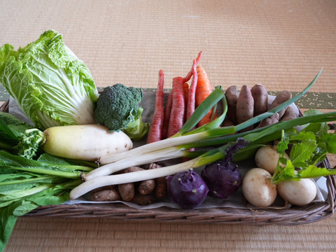 南阿蘇の冬の野菜セット【8品前後】農薬等不使用栽培