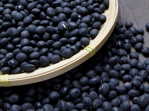 京都　夏黒豆えだ豆　自然栽培枝豆　農薬・化学肥料・除草剤不使用　１K（250g×4パック)