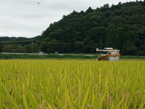 2023年度【環境保全米】ササニシキ 玄米24kg