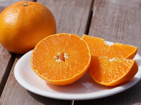 柑橘の大トロ！
「せとか」 4ｋｇ！