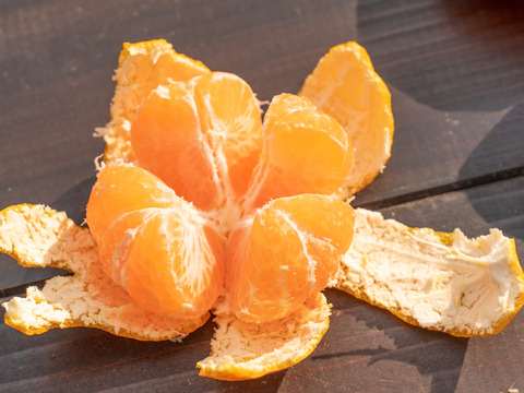 【EHIME UWAJIMA】とろける食感の絶品早生みかん！Aセレクション（家庭用）10kgBOX（正味9.5kg）