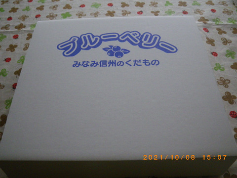 冷凍ブルーベリー Mサイズ（３ｋｇ）