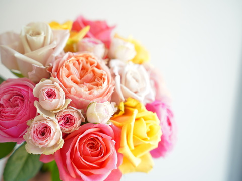 Rose mix S 〜奇日根のおすすめ品種で作るおまかせ花束〜
