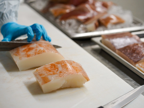 【ソデイカ550g】もっちり！ねっとりとした食感と噛めば噛むほど濃厚な甘い身がクセになる！！超大型のイカ、冷凍ソデイカ（アカイカ）（約550g）　調理しやすいブロック仕様