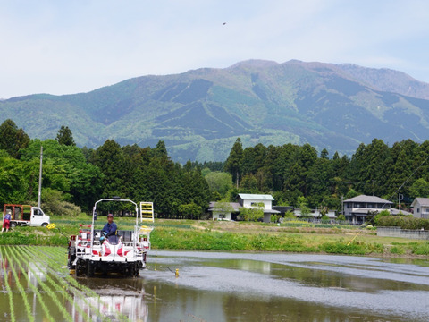 【ご飯のおともガチャ付き】那須の恵みを楽しもう！那須山麓ミネラル米5キロとご飯のおとも一品をセットでお届け🌾