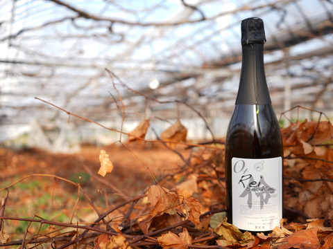 デラウェア_スパークリングワイン「伶＋」