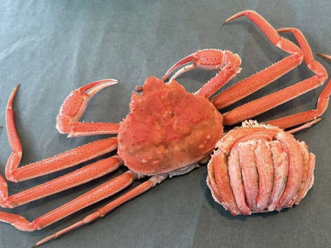 【15個入り】※期間限定※【北海道産】ズワイガニの甲羅盛り　1.5kg　1箱15個入り