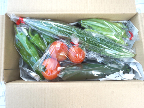 【京都からお届け】旬の野菜セット（5～7品目）