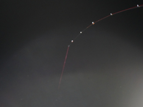 【総注文数1000件突破！】夏のお勧め😆高知の剣先イカ約2kg【手釣り】