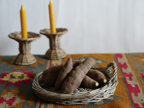 ラストチャンス！さつま芋の苗〈紅あずま〉10本【農薬等不使用栽培】