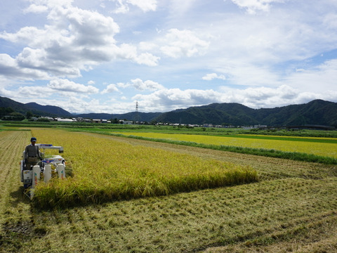「令和８年　新米」有機ＪＡＳコシヒカリ　５ｋｇ　農薬不使用