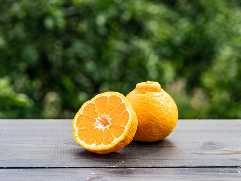 スペシャル熟成！ 完熟の濃厚なコク【不知火】Aセレクション（家庭用）1.8kg