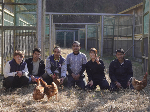 ✨個性がキラリ✨平飼いごちそう卵【あかねの虜】規格外品（40個入） 28歳2児の母がプロデュースする話題の卵【👑大手検索サイト「福岡 卵」表示ランキング１位の農場です👑】